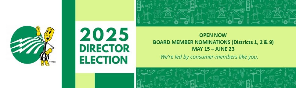 Director Election