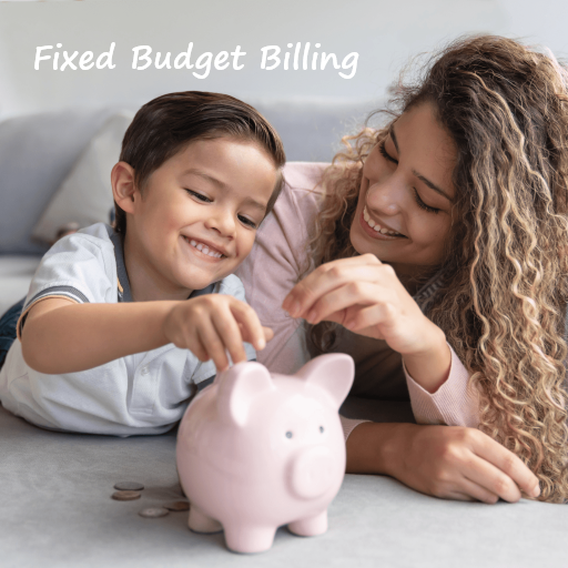 Fixed Budget Billing
